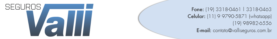Valli Logo